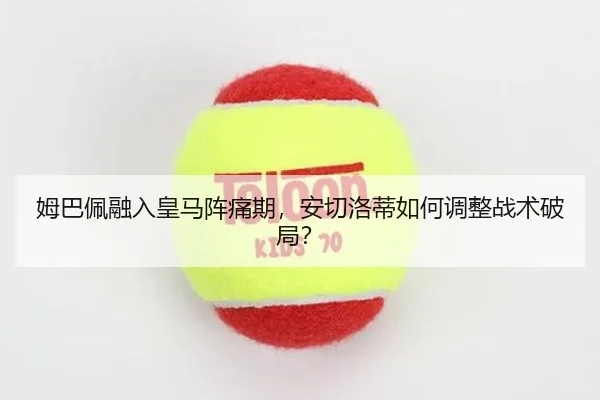 mu-ba-pei-rong-ru-huang-ma-zhen-tong-qi-an-qie-luo-di-ru-he-tiao-zheng-zhan-shu-po-ju-2-872.jpg