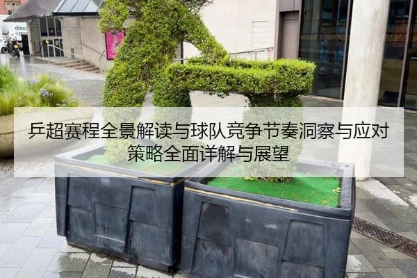 乒超赛程全景解读与球队竞争节奏洞察与应对策略全面详解与展望
