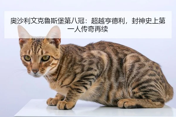 奥沙利文克鲁斯堡第八冠：超越亨德利，封神史上第一人传奇再续