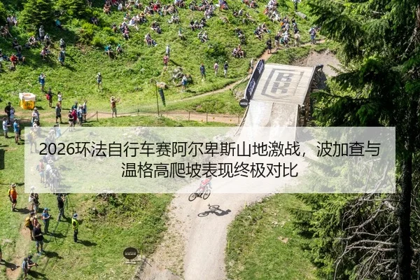 2026环法自行车赛阿尔卑斯山地激战，波加查与温格高爬坡表现终极对比